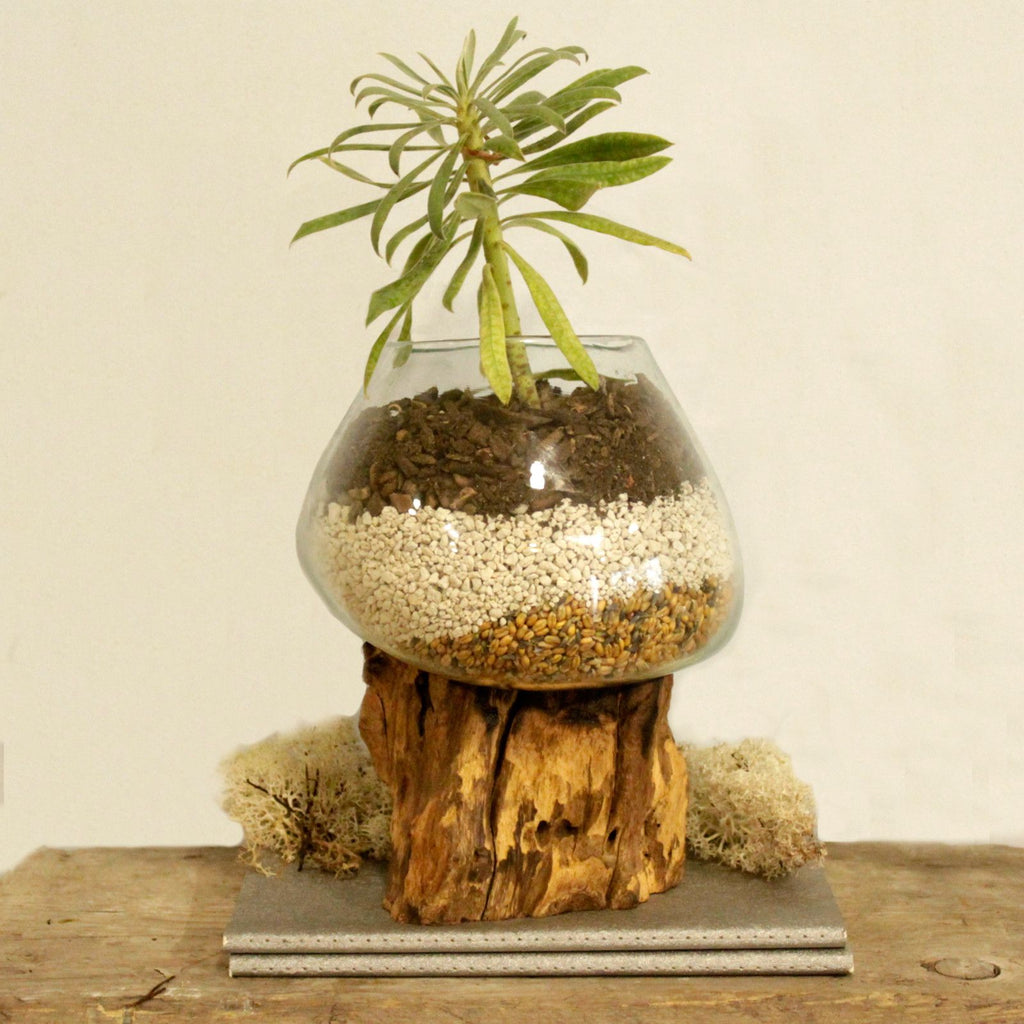 Molten Glass Sculpture: Large Organic Bowl